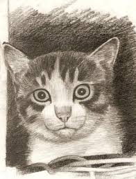 Sketsa gambar animasi kucing hitam putih, gambar kucing comel hitam putih, gambar kucing hitam dan cartoon sketch drawing easy cartoon drawings cartoon painting cartoon images easy. Cat Drawing Steemit