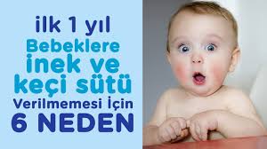 ilk 1 yilda bebeklere inek ve keci sutu verilmemesi icin 5 neden ilk adimlarim youtube