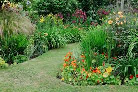 Use for border around plants & along fence to avoid weeding. Guide To Garden Borders Bbc Gardeners World Magazine