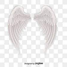 White Angel Wings And Feathers Angel Angel Wings White Png Transparent Clipart Image And Psd File For Free Download Angel Wings Png White Angel Wings Wings Png