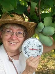 Kathy Dice Chestnut Farming for Sustainable Living