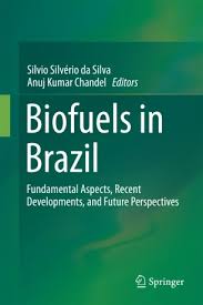 Listen to marcelo maciel ramos | soundcloud is an audio platform that lets you listen to what you 23 followers. Biofuels In Brazil Springerlink