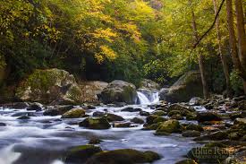 Open april 10 through october 31st. Big Creek Great Smoky Mountains National Park Blue Ridge Mountain Life