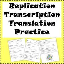 #2 a c t dna: Transcription And Translation Practice Worksheets Tpt