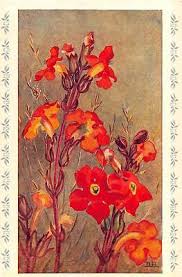 Image result for Harveya