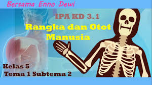 Check spelling or type a new query. Kelas 5 Tema 1 Subtema 2 Ipa Kd 3 1 Rangka Dan Otot Manusia Youtube