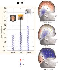 Figure 5 from Women are better at seeing faces where there are none: an ERP  study of face pareidolia.