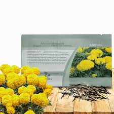 Image result for tagetes)