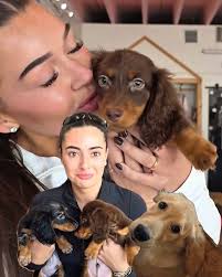 What Kind of Dog Is Amber from Ivan