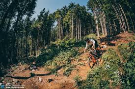It works fine going uphill but the downhill is driving me crazy. Editors Choice Canyon Strive Cfr The Ultimate All Round Weapon Enduro Mountainbike Magazine