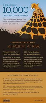 Pin By Ctanamala On Crec Social Media Campaign Idea Board Animal Conservation Endangered Animals Nature Conservation