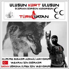 Https Encrypted Tbn0 Gstatic Com Images Q Tbn And9gcsjllbhhwrbkmkkao8am2kyeua 6on9yfyclg Usqp Cau