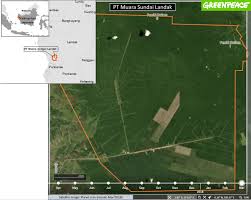 Contextual translation of muara sungai into english. This Company Promised To Stop Deforestation But We Caught Them Out Greenpeace International