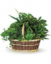 Maybe you would like to learn more about one of these? Large Basket Garden In Brecksville Oh Brecksville Florist Gifts
