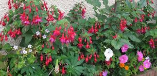 Avril Que Faire Au Jardin Jardins Jardinage Et Conseil Jardinage