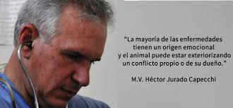 Héctor Jurado, el veterinario que sana a las mascotas y sus dueños