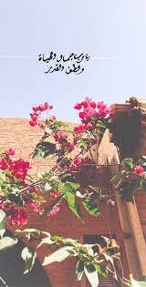 pin by اشرف اشرف on طبيعه sky photography nature cover photo quotes nature photos