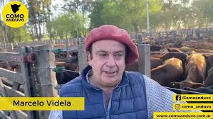 Marcelo Videla, martillero de Sivero y Cía. Gral Alvear 4/10/24.