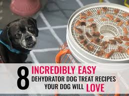 With only three ingredients, these are fantastic. 8 Incredibly Easy Dehydrator Dog Treats That Your Dog Will Love Kol S Notes