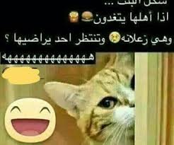 image about text in تحشيش by z on we heart it funny funny jokes we heart it