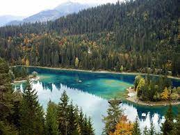 caumasee lake from top flims switzerland places in switzerland places to go scenery