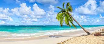 Selbstverständlich gibt es hierbei enorme schwankungen, mal wird die region stärker betroffen, im nächsten jahr so gut wie gar nicht. Https Www Xn Gnstiger Reisen Zvb De Dominikanische Republik