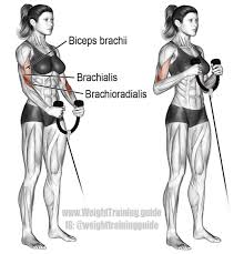 La Imagen Puede Contener 2 Personas Biceps Brachii Weight Training Biceps