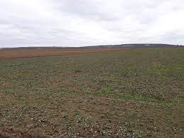 Terenuri agricole de vanzare in marghita, judetul bihor, pe imobiliare.ro. Teren Extravilan De Vanzare Zona Metropolitana Oradea Biharia T04