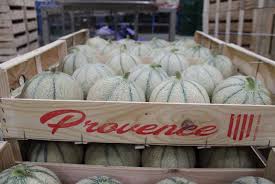 Melon Charentais Le Fruit Incontournable De L Ete Salade 2 Fruits