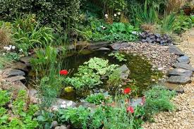 Sustainable Garden Ideas Moral Fibres Uk Eco Green Blog Ponds For Small Gardens Garden Pond Design Pond Plants