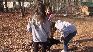 Maybe you would like to learn more about one of these? Uwharrie Charter Academy Students Giving Dogs A Better Chance For Adoption Myfox8 Com
