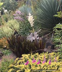 Image result for Eucomis