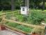 Chicken Proof Garden