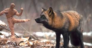 Image result for the fox in anne series 2017
