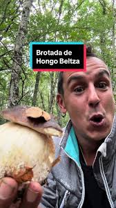 Estudio micológico: Detéctalo en piel y uñas