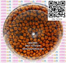 Maybe you would like to learn more about one of these? Haura Shop Voer Ams Gold 35 Rp 110 000