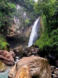 The park area was actually launched to commemorate the 14th commonwealth forest. Commonwealth Of Dominica Corporate Solutions Ltd Csl