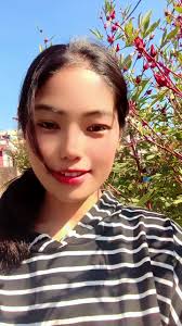 figar timro Dami ####plypシ ###plypシ ###plypシ ##plypシ ###plypシ #plypシ