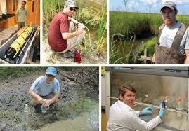 2013 Annual Report for web.indd