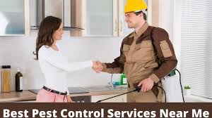 Pest control service in murrells inlet, south carolina. 300 Best Pest Control Near Me Find By City Wise And Zip Code