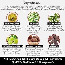 Image result for Indigofera concinna