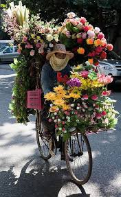 Flower Bike Hanoi In 2020 Beautiful Flowers Flower Market Colorful Flowers