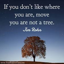 Quotes Archives Laughter Quotes Wise Words Quotes Powerful Quotes