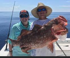 Maybe you would like to learn more about one of these? Daisy Mae Fishing Charters Dunedin 2021 All You Need To Know Before You Go Tours Tickets With Photos Tripadvisor