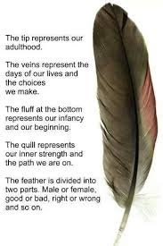 Birds Of A Feather Saying A Feather S Meaning Native American Spirituality Native American Wisdom Native American Quotes