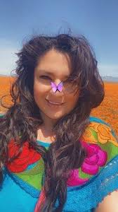 Navarro Law Group, 321 N Maclay Ave, Ste B, San Fernando, CA 91340, US