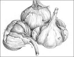 Pencil Drawings Of Fruit And Vegetables Google Search Pencil Drawings Vegetable Drawing Graphite Drawings