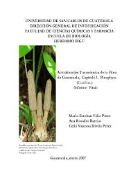 Image result for Buchnera strictissima