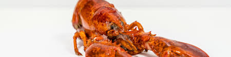 Great savings & free delivery / collection on many items. Entering The European Market For Rock Lobster Cbi