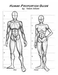 Let me say that it will take many sessions to cover the wonders of the human body. 21 Human Anatomy Drawing Ideas And References Beautiful Dawn Designs In 2021 Drawing Body Proportions Human Anatomy Drawing Human Anatomy Art